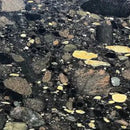 BLACK MARINACE LEATHER QUARTZITE-1