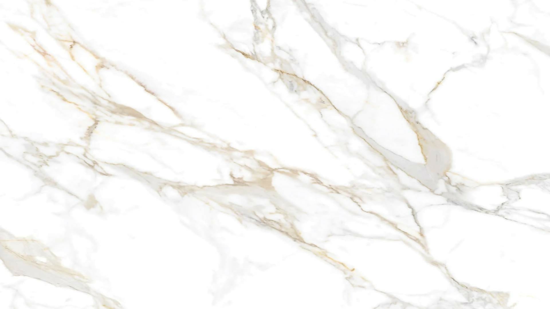 CALACATTA ROMA SINTERED STONE