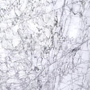 ARABESCATO VERSILIA HONED MARBLE-3