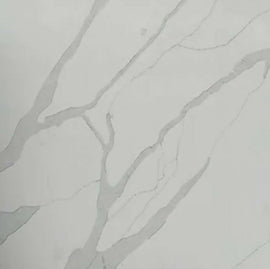 Gemini - Rotherhams 20mm Michelangelo White_