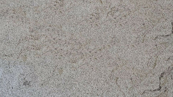 AMARELO MACIEIRA GRANITE,Granite,Marble Granite Limestone Warehouse,www.work-tops.com