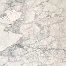 ARABESCATO FIORENTINO POLISHED MARBLE-1