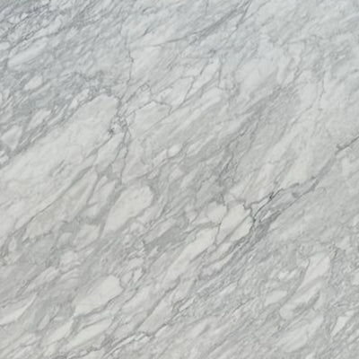 CALACATTA BELGIA HONED MARBLE