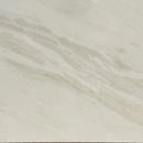 RHINO WHITE EXTRA POLISHED MARBLE-1