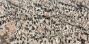 PATAGONIA ROSE CRYSTAL POLISHED QUARTZITE-2