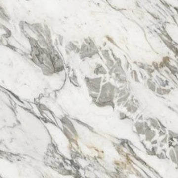 CALACATTA VAGLI ORO HONED MARBLE