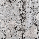 ROYAL WHITE GRANITE,Granite,BloomStone,www.work-tops.com