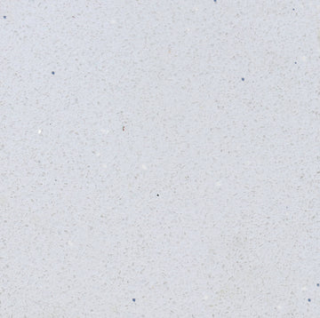 TOPAZIO ( WHITE TINY SPARKLE ) QUARTZ,Quartz,Work-Tops,www.work-tops.com