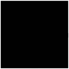 ABSOLUTE BLACK PORCELAIN