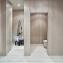 DANAE NATURAL DEKTON,Dekton,Cosentino,www.work-tops.com