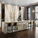 CALACATTA HERMITAGE VEIN TECH PORCELAIN,Porcelain,Clay International,www.work-tops.com