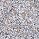 ROSA LIMBARA GRANITE,Granite,Work-Tops,www.work-tops.com