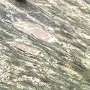 VERDE FORESTA LINEAL GRANITE,Granite,Work-Tops,www.work-tops.com