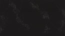 EMPIRA BLACK SUPERNATURAL QUARTZ,Quartz,Work-Tops,www.work-tops.com