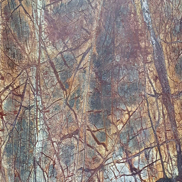 FOREST BROWN MARBLE,Marble,Brachot,www.work-tops.com