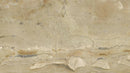 BRECCIA ONICIATA MARBLE,Marble,Brachot,www.work-tops.com