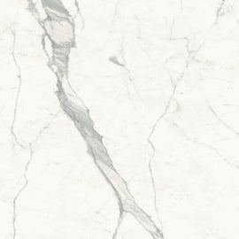 CALACATTA STATUARIO PORCELAIN,Porcelain,Cullifords,www.work-tops.com