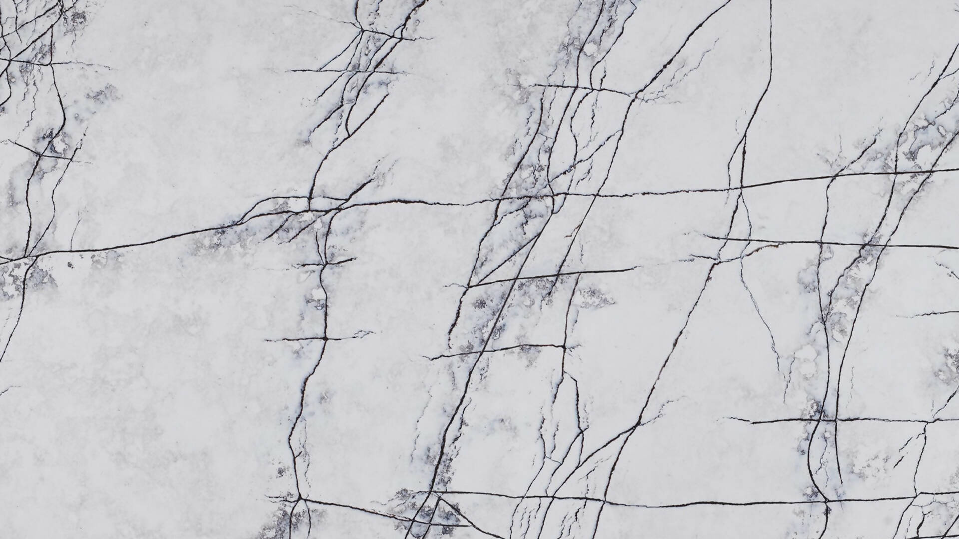 Salvias Quartz Available In The UK White Slab salvias-quartz-available-in-the-uk-white-slab