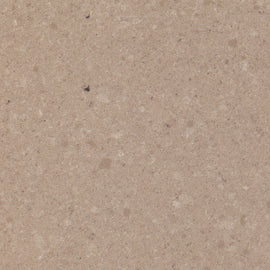 FOSSIL AMMONITE QUARTZ,Quartz,Quartz Forms UK,www.work-tops.com