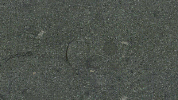 DOLOMITE MARBLE,Marble,Brachot,www.work-tops.com