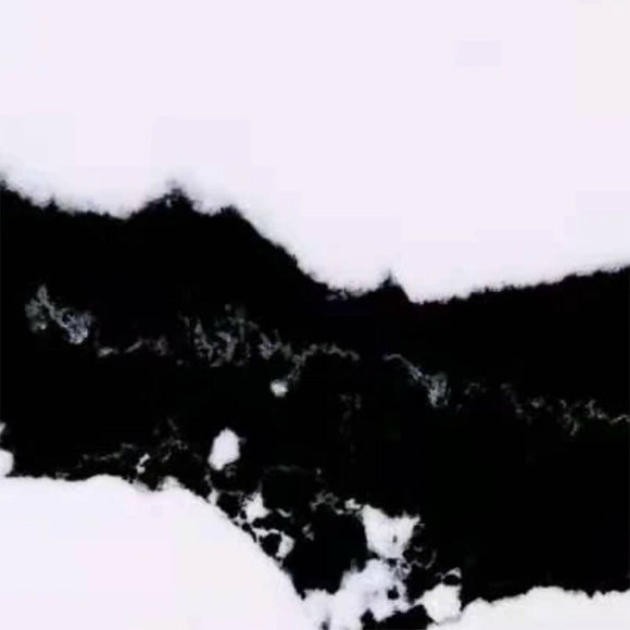 CALACATTA PANDA QUARTZ,Quartz,BloomStone,www.work-tops.com