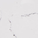 CARRARA QUARTZ,Quartz,Work-Tops,www.work-tops.com