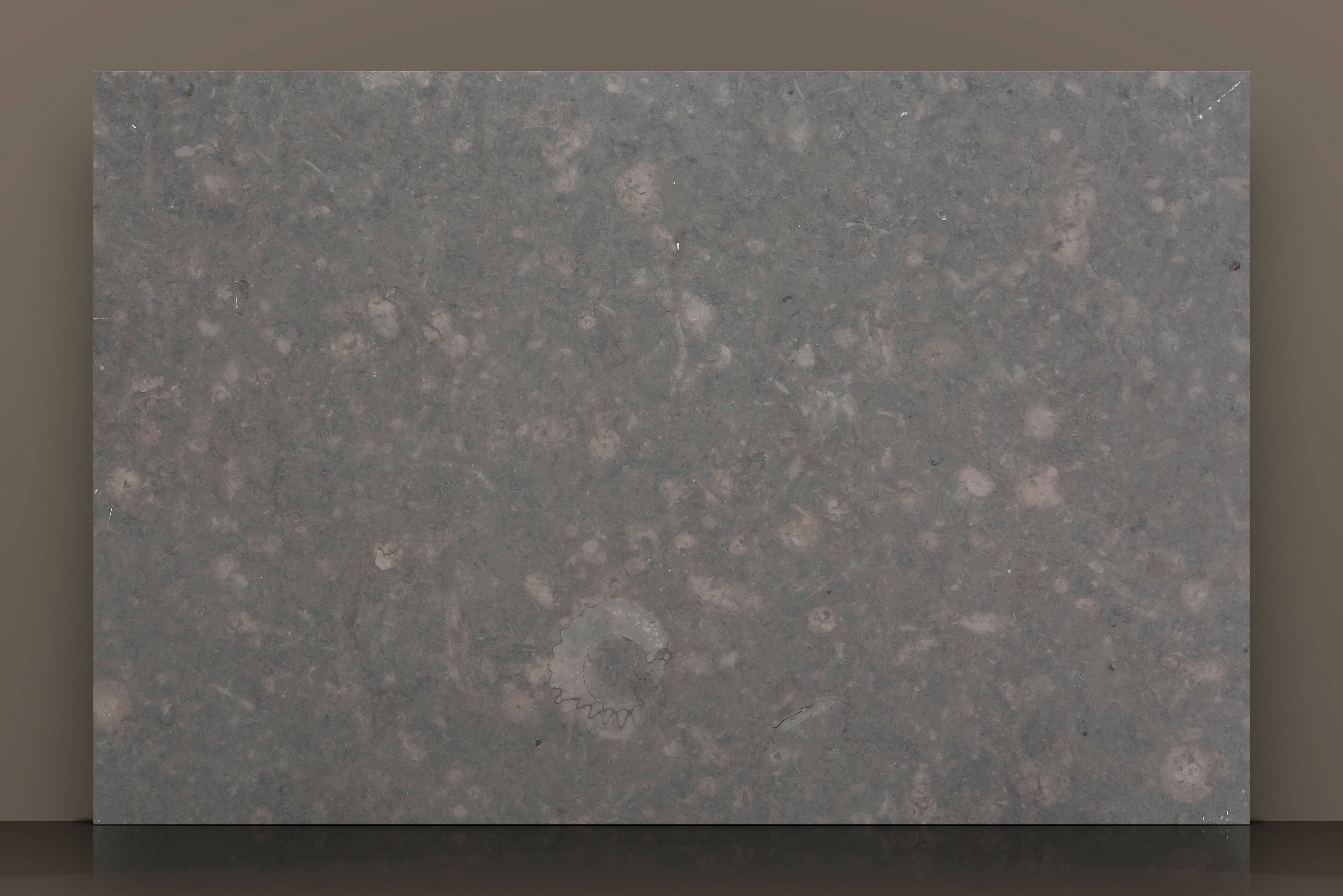 Arrival Limestone UK | Grey Worktop | www.work-tops.com