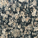 BALTIC BROWN GRANITE,Granite,Brachot,www.work-tops.com