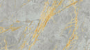 GRIGIO SIENA PORCELAIN,Porcelain,BloomStone,www.work-tops.com