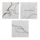 CALACATTA SYDNEY GREY QUARTZ,QUARTZ,Noble Stone,www.work-tops.com