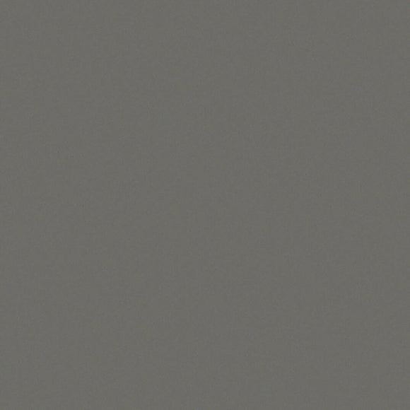 GRIS EXPO SILESTONE,Silestone,Cosentino,www.work-tops.com