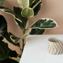 PACIFIC WHITE QUARTZ,Quartz,Worldwide Stone Ltd,www.work-tops.com