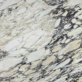 CALACATTA VIOLA MARBLE,Marble,Stone World London,www.work-tops.com