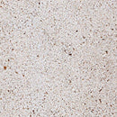 MOLEANOS LIMESTONE,Limestone,Blyth Marble Ltd,www.work-tops.com