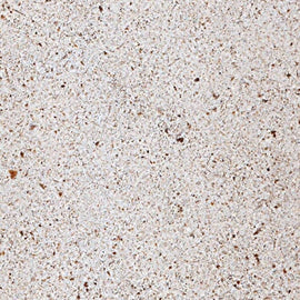 MOLEANOS LIMESTONE,Limestone,Blyth Marble Ltd,www.work-tops.com