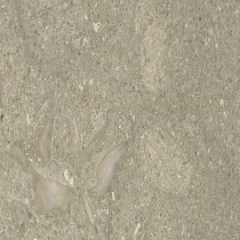 MEDITERRANEAN GREEN MARBLE,Marble,Brachot,www.work-tops.com