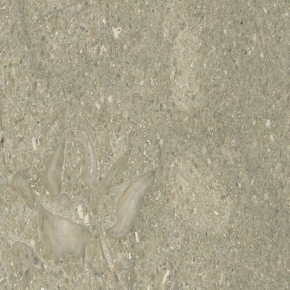 MEDITERRANEAN GREEN MARBLE,Marble,Brachot,www.work-tops.com