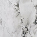 BIANCO ECLIPSIA QUARTZITE,Quartzite,Worldwide Stone Ltd,www.work-tops.com