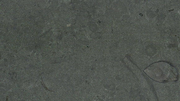 DOLOMITE MARBLE,Marble,Brachot,www.work-tops.com