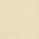 ARENA QUARTZ,Quartz,Work-Tops,www.work-tops.com