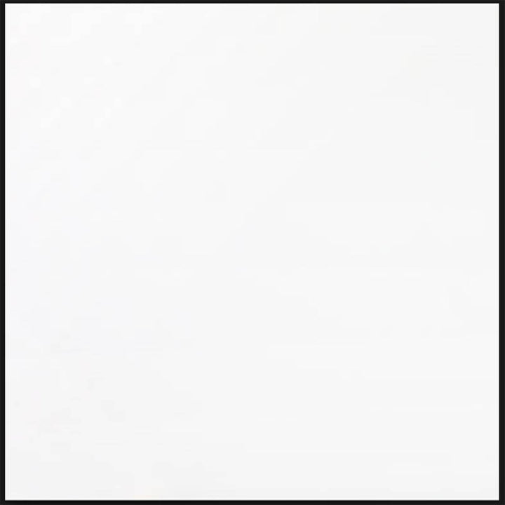 BLANCO WHITE QUARTZ