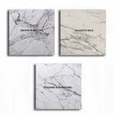 CALACATTA BETTOGLI QUARTZ,Quartz,Work-Tops,www.work-tops.com