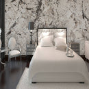 BIANCO ARTICO GRANITE,Granite,Sonic Stone,www.work-tops.com