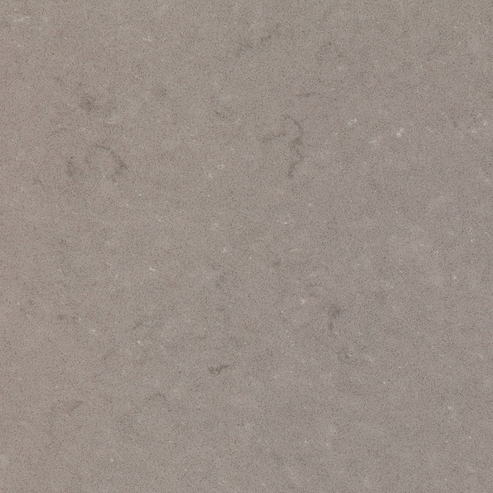 FOSSIL NAUTILUS QUARTZ