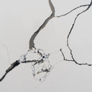 CALACATTA SYDNEY BLACK QUARTZ,QUARTZ,Noble Stone,www.work-tops.com