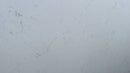 CARRARA CASHMERE QUARTZ,Quartz,Next Stone,www.work-tops.com