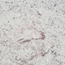 AMBA WHITE GRANITE,Granite,Blyth Marble Ltd,www.work-tops.com